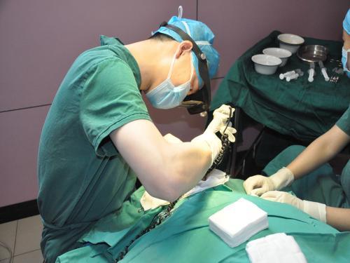 广州哪个植发医院做胡须移植比较好的？
